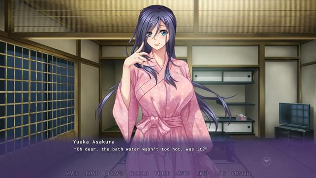 An Aunt After My Own Heart Gameplay Screenshot