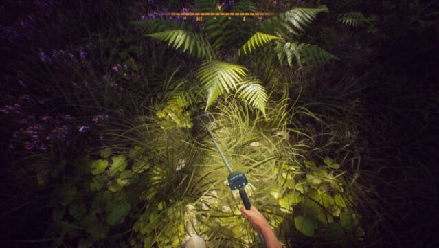 Treasure Hunter Simulator PC Screenshot